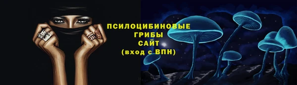 молекула духа Нягань