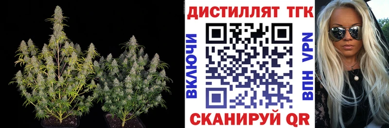 магазин    Нахабино  Дистиллят ТГК гашишное масло 